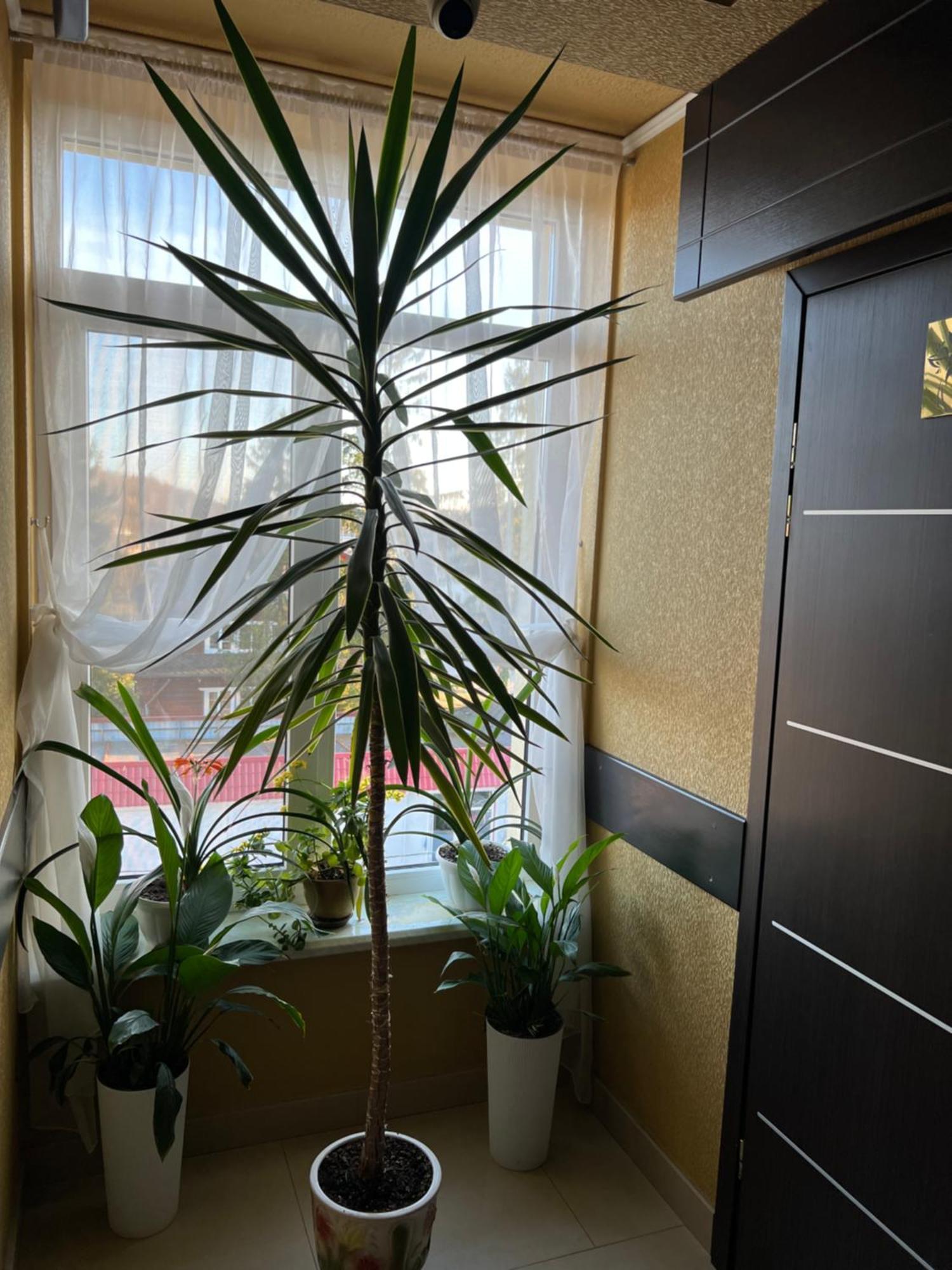 парк Hotel Morschyn